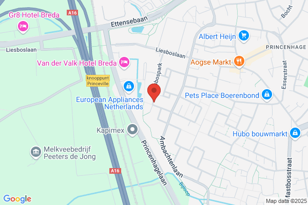 Prinsen, W J