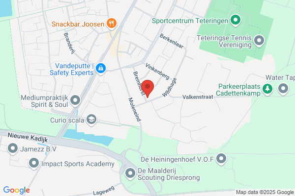 Sande J J W M vd
