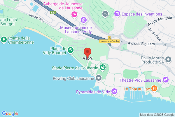 Vidy