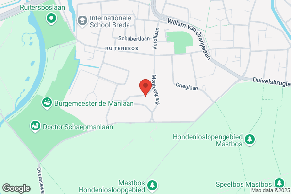 Nuijten, M J B T