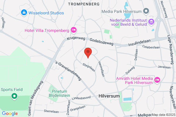 Vioolles Hilversum