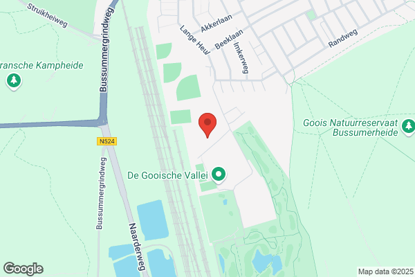Rock Steady Sports & Evenenmenten