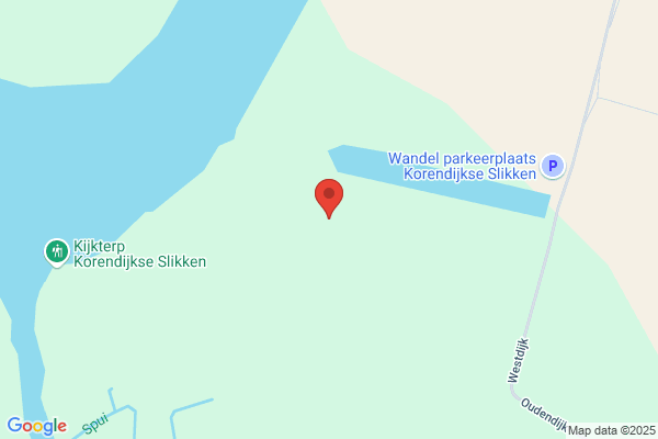 Goudswaard, J