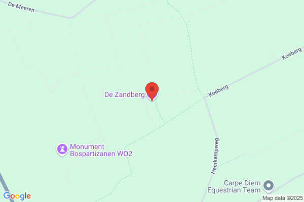 Zandbergen M
