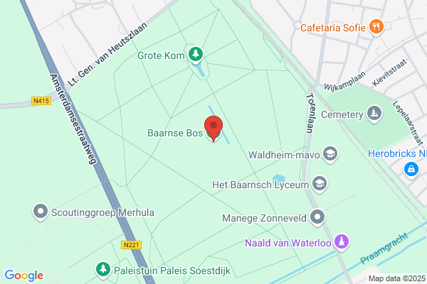 Boelens, Tiemen