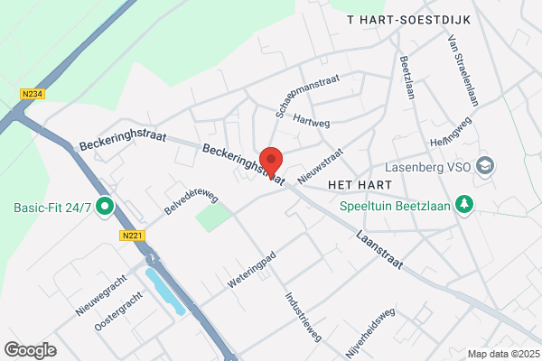 Nieuwenhuijse Auto's