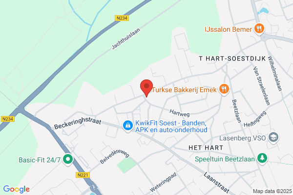 Puntje, 't