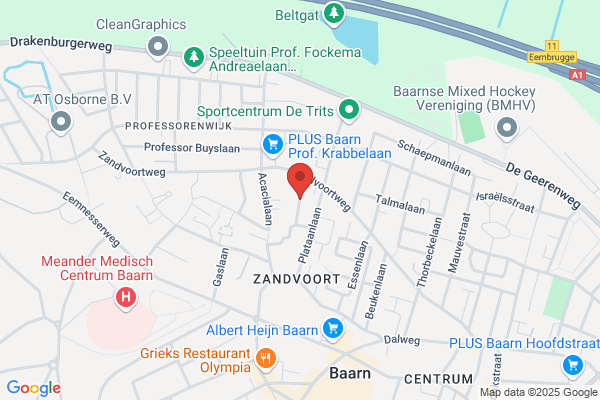 Leeuw, De