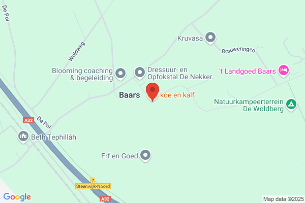 K Koning