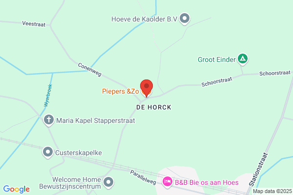 Cuijpers, L A C M