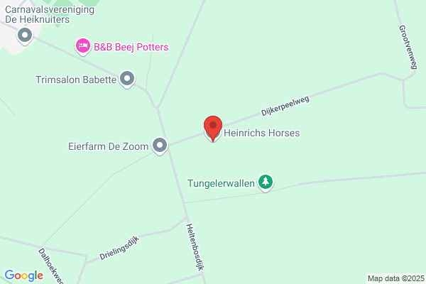 Heinrichs Bv, J J H