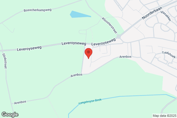 Steiner, Autoschade
