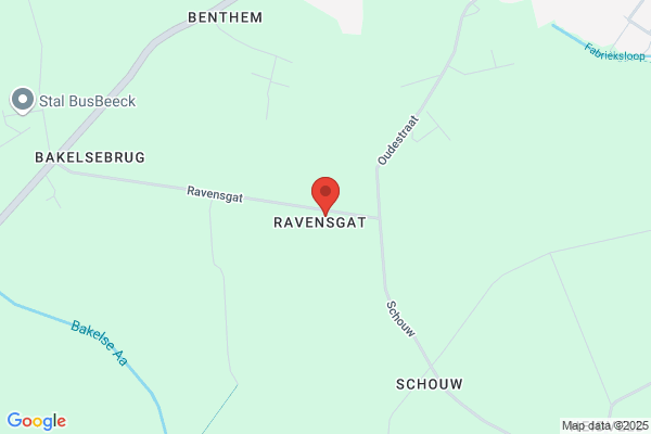 Bralten