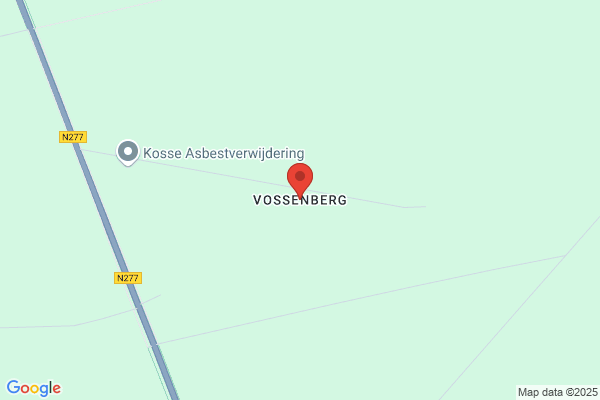Vossenberg, W H J Van De