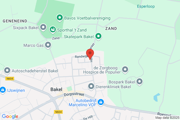 Dispuuthuis Pael