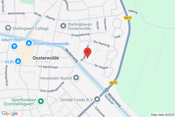Vogelzang Schoorsteenveger