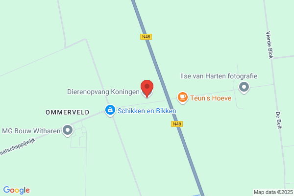 Dierenopvang Koningen