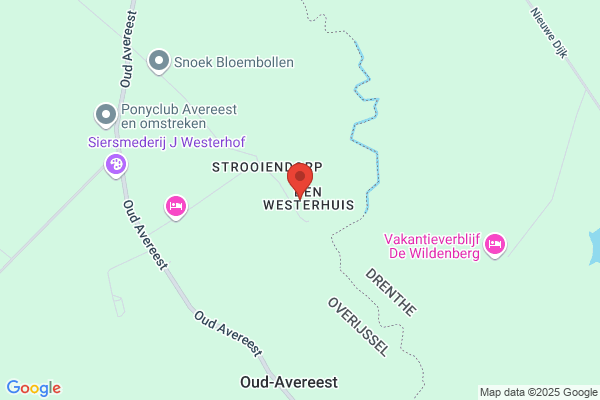 Hulsteijn, Jeanet