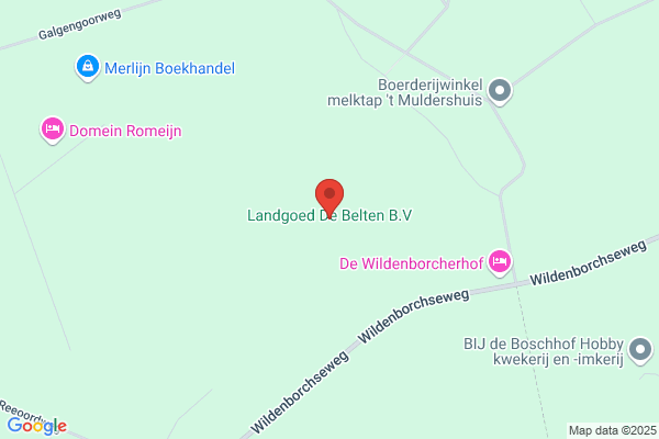 Pinetum De Belten