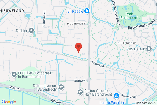 Homeopatisch De Therapeut Jager Cees