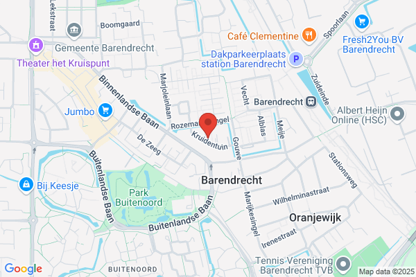 Psychosynthesegids P J Van Santen