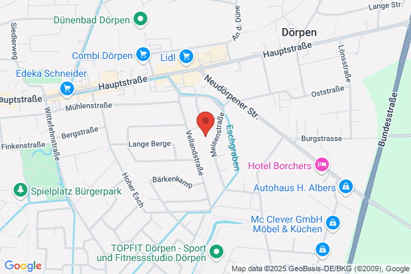 Dekkers, Theo