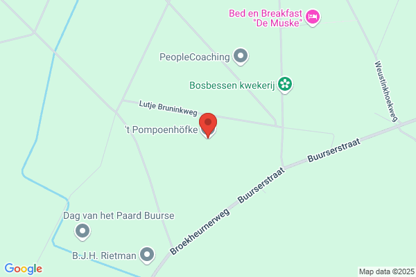 Pompoen, De