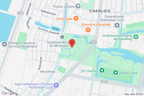 Cnme Feijenoord