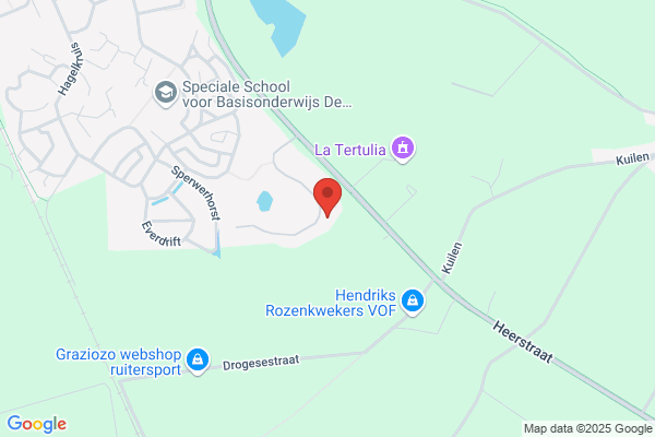 H.J. Van Gameren De Hoog