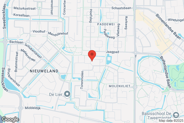 Jong, Tineke De
