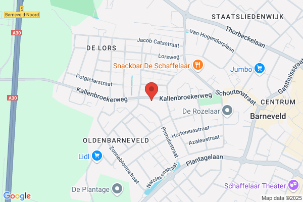 Muziekopleidingen Crescendo P B Faasse