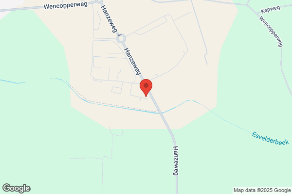 Ballonsport, Stichting