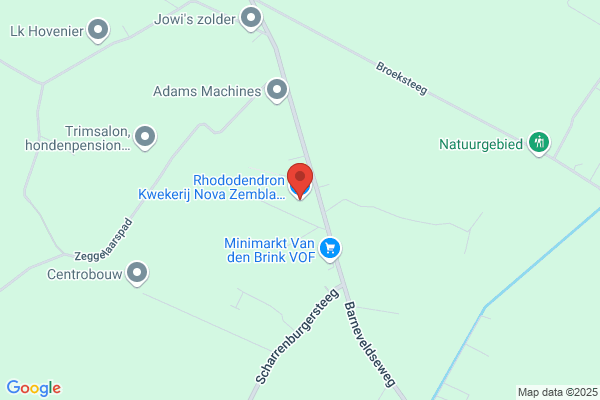Azaleakwekerij Oosterom Bv