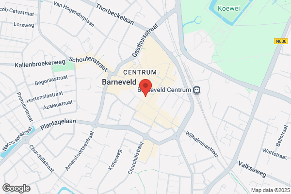 Expert Barneveld