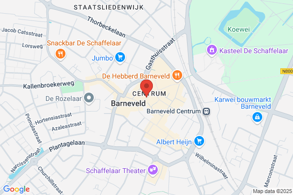 Kaasschieter Brillen Bv