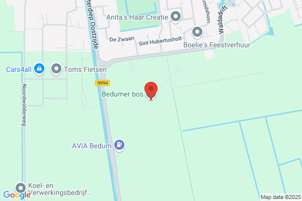 Bedumer