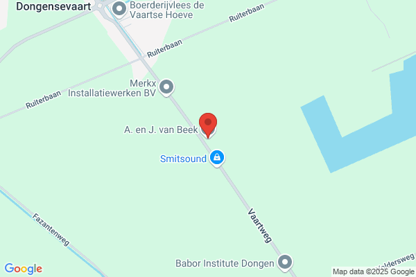 Dongen A J A van