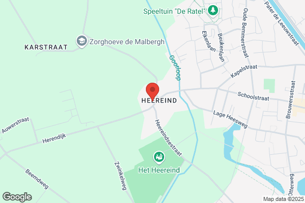 Zwaan, De