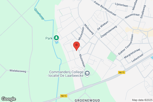 Studio Renny Van De Laar
