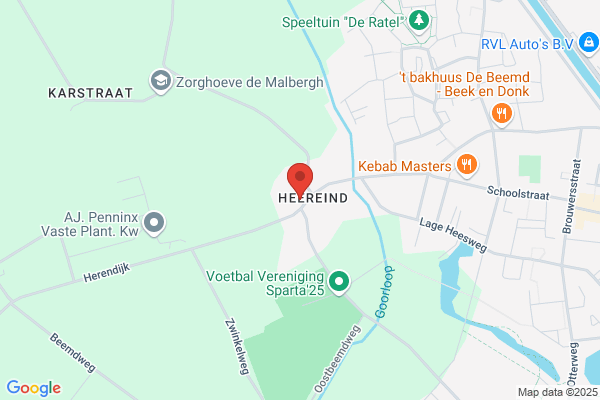 Zwaan, De