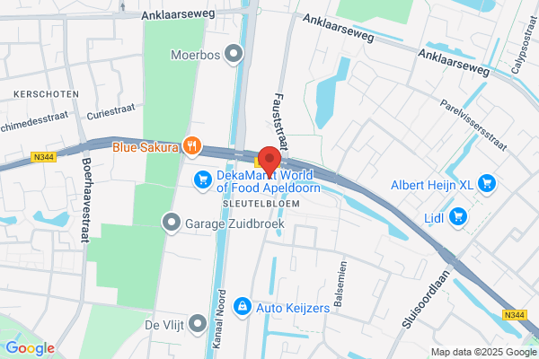 Steenvoort Auto 's
