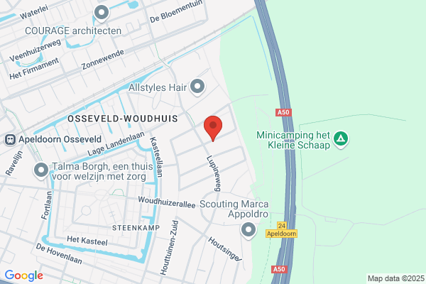 Haagen Consult & Management Bv