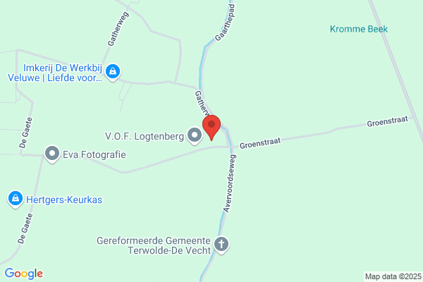 Griffioen