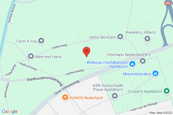 Laarhoven A H T van