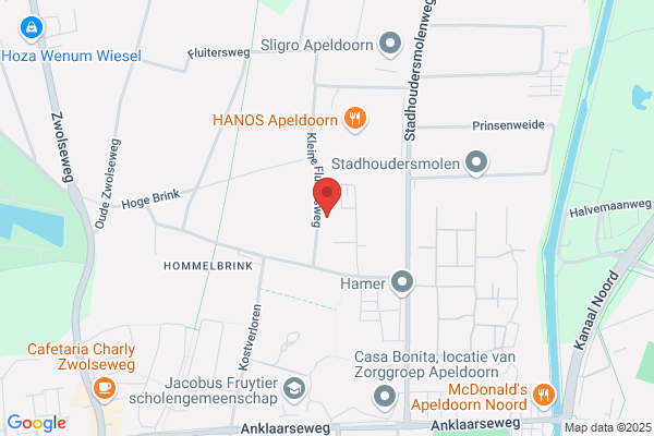 Ups United Parcel Service Ned Bv