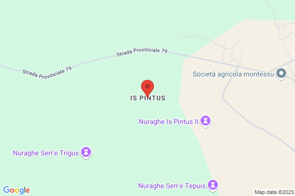 Pintus Internationaal