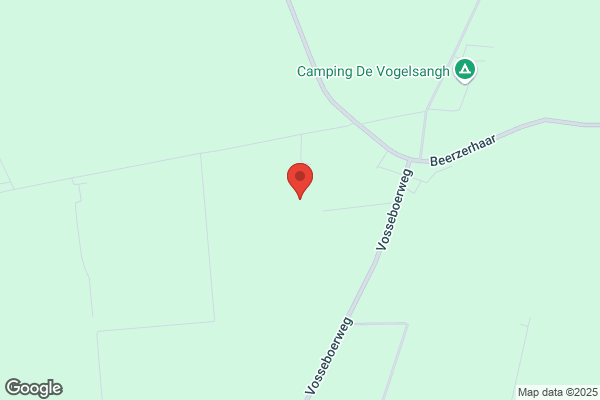 Rietdekkersbedrijf Van der Vegt