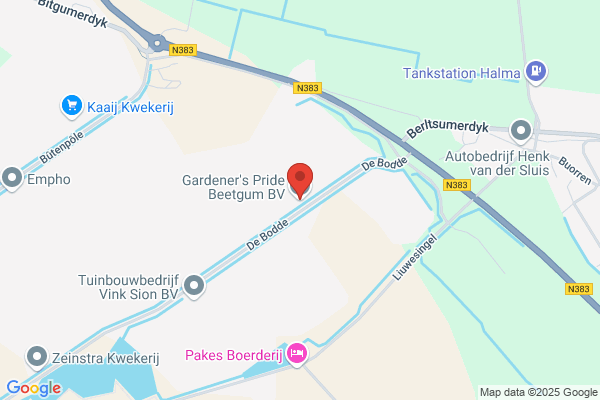 Plant & Tuin Steengoed in Groen