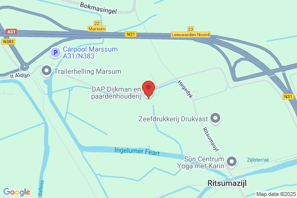 Dijkman Dierenarts, D B