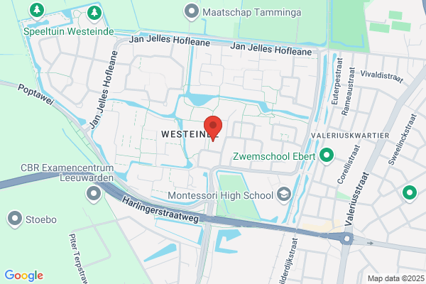 Cwi Cultuur